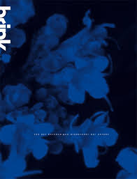 Covermotiv der Journalausgabe von Brink3